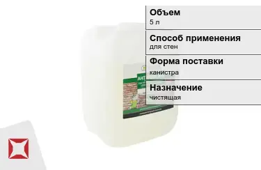 Антиплесень Prosept 5 л для стен в Усть-Каменогорске