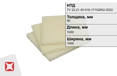 Капролон листовой 60x1000x1000 мм ТУ 22.21.30-016-17152852-2022 в Усть-Каменогорске