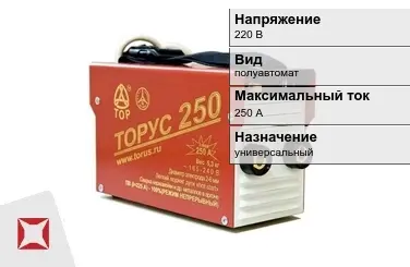 Сварочный аппарат Торус 250 А универсальный в Усть-Каменогорске